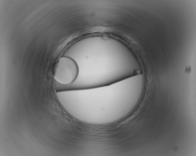 X0000113631313200909181255