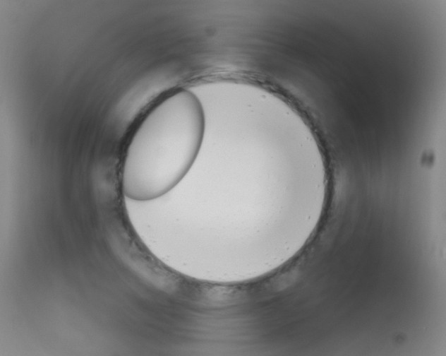 X0000113631314200909181255
