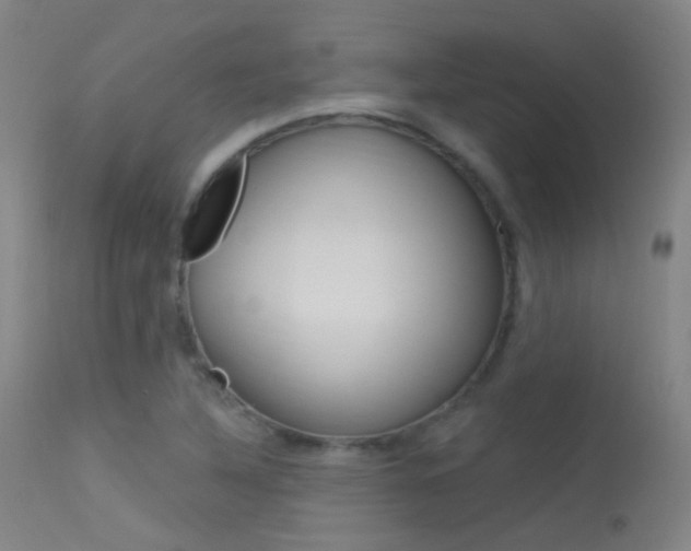 X0000113631316200909181255