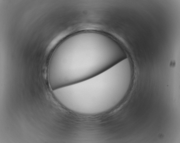 X0000113631317200909181255