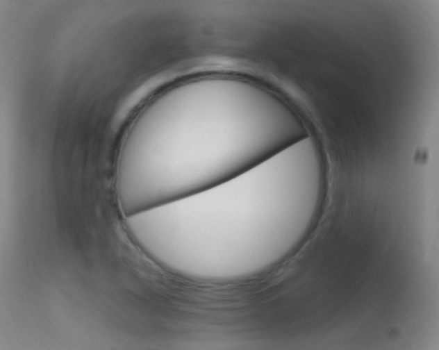 X0000113631318200909181255