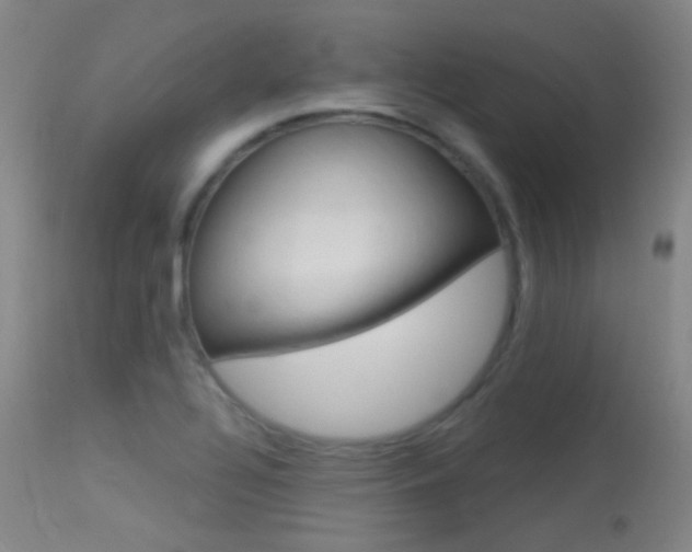 X0000113631320200909181255
