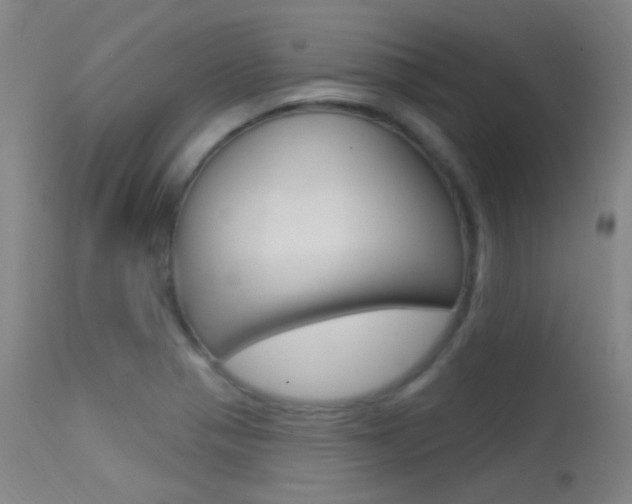 X0000113631321200909181255