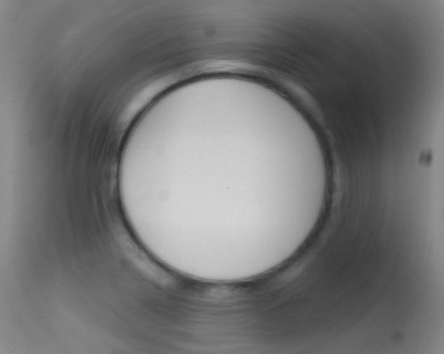X0000113631322200909181255