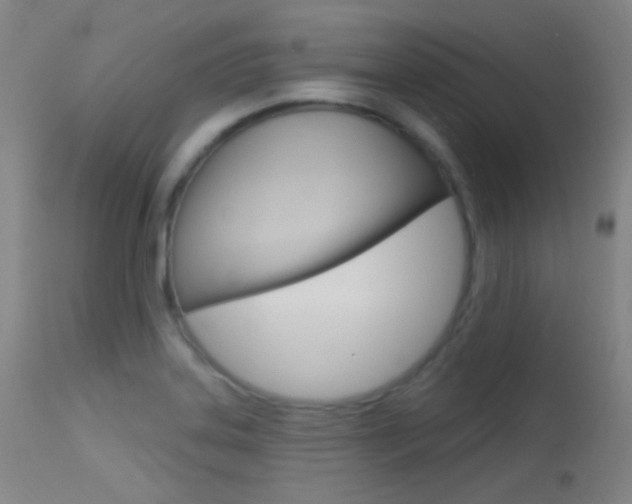 X0000113631323200909181255