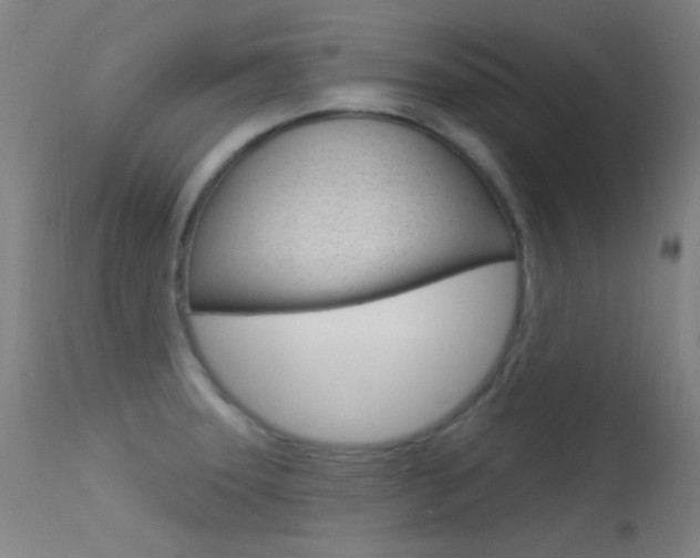 X0000113631331200909181255