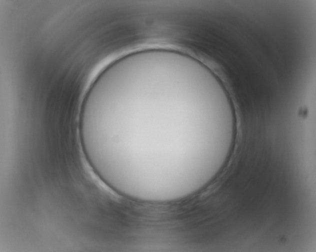 X0000113631334200909181255