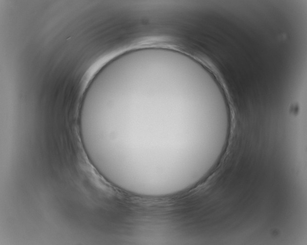 X0000113631336200909181255
