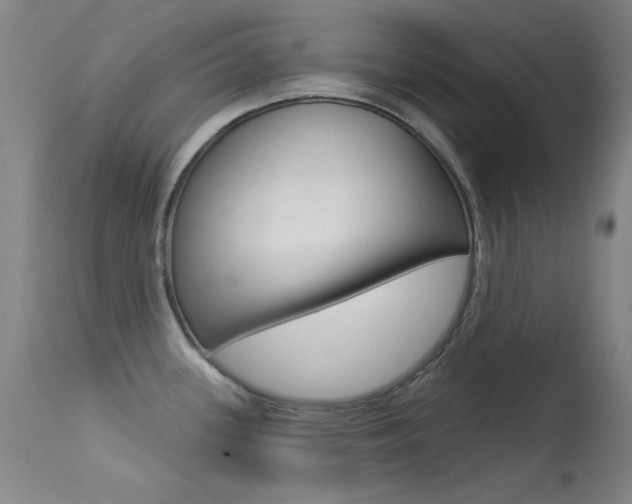 X0000113631339200909181256