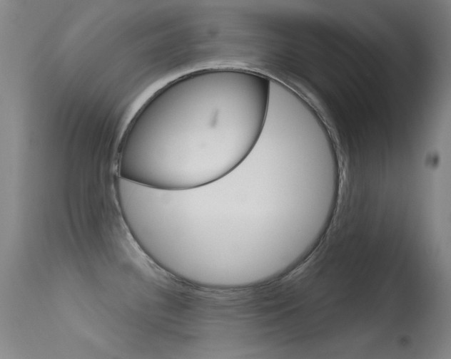 X0000113631340200909181256