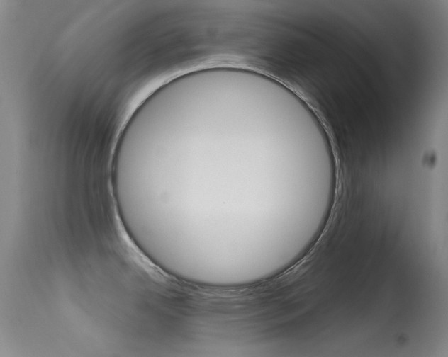 X0000113631342200909181256