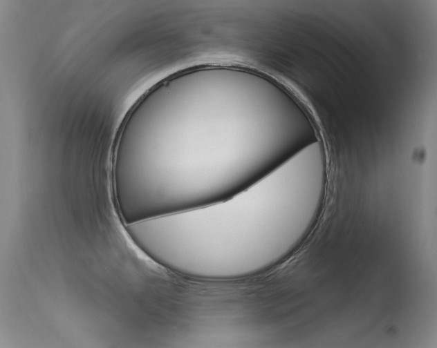 X0000113631343200909181256