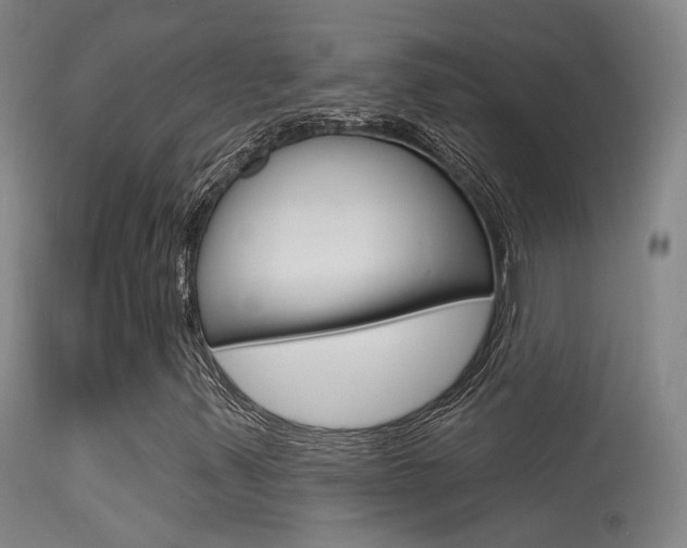 X0000113631347200909181255