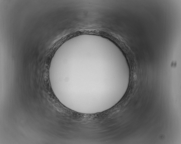 X0000113631350200909181255
