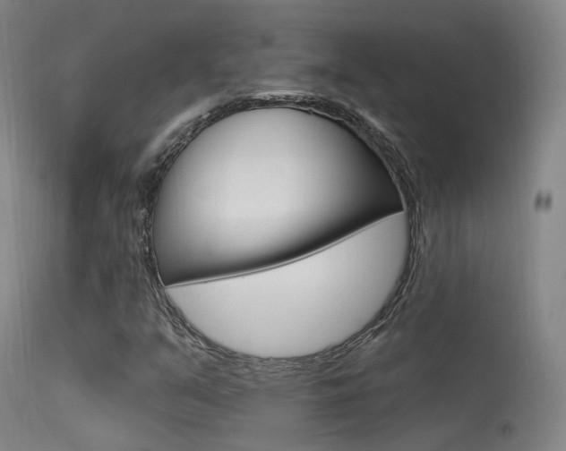 X0000113631351200909181255