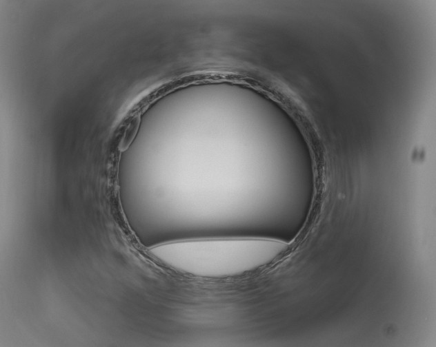 X0000113631352200909181255