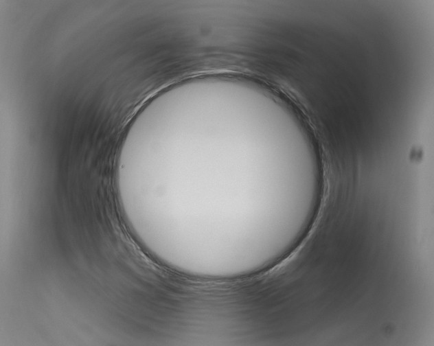X0000113631353200909181255
