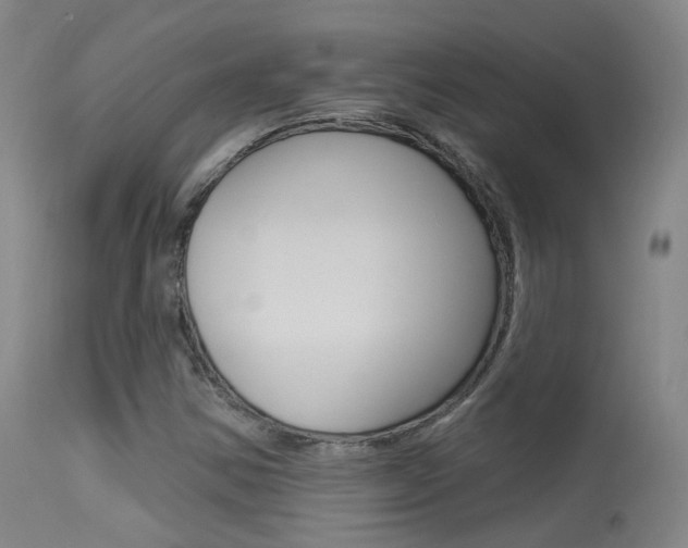 X0000113631354200909181255