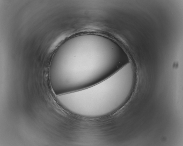 X0000113631355200909181255