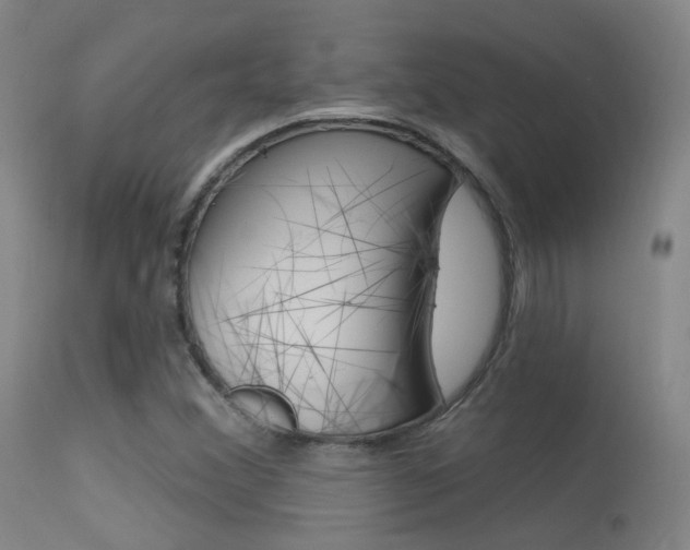 X0000113631356200909181255