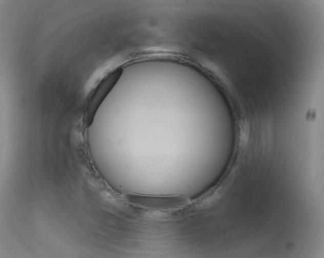 X0000113631357200909181255