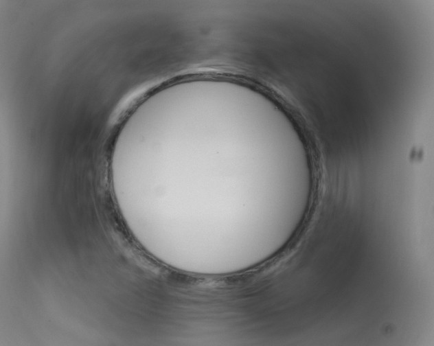X0000113631358200909181255