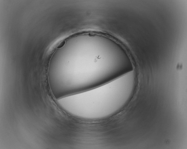 X0000113631359200909181255