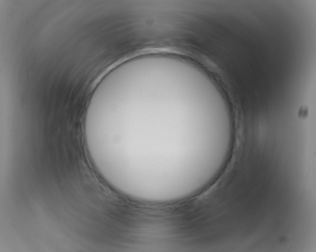 X0000113631361200909181255