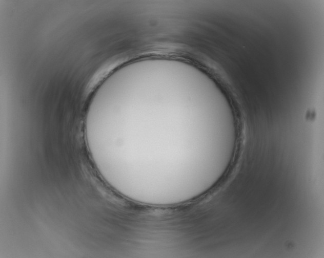 X0000113631362200909181255