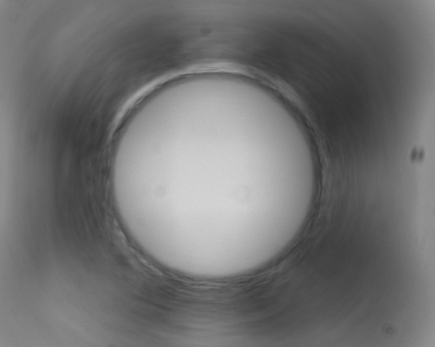 X0000113631364200909181255