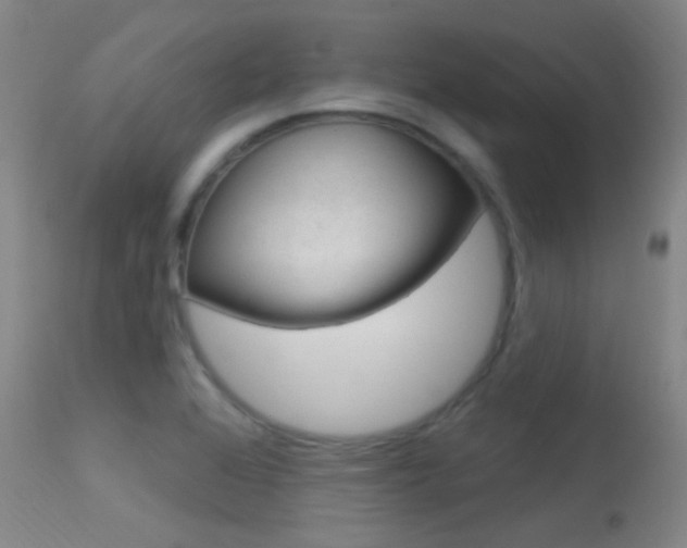X0000113631368200909181255