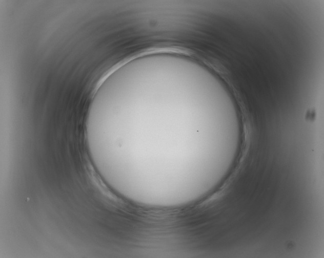 X0000113631369200909181255