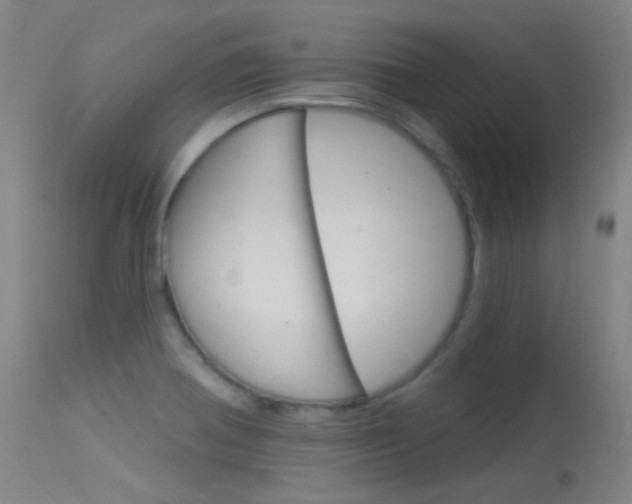 X0000113631370200909181255