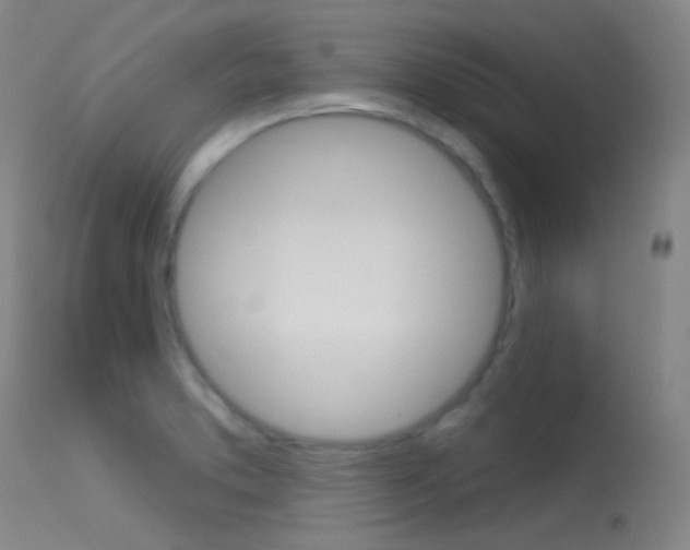 X0000113631373200909181255