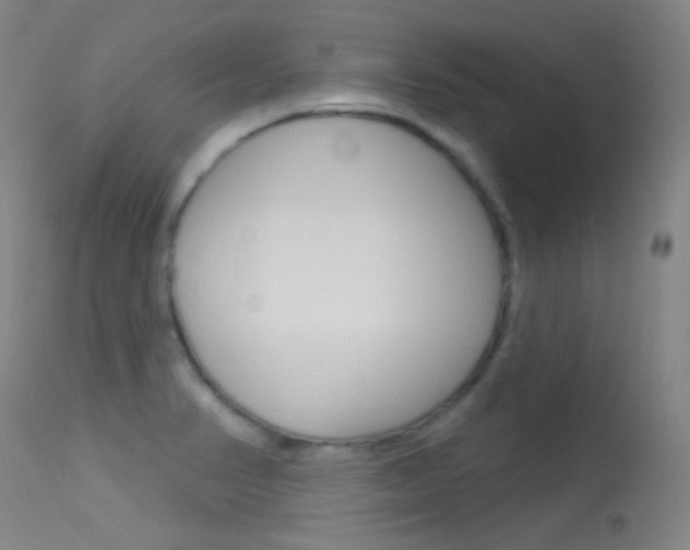 X0000113631374200909181255