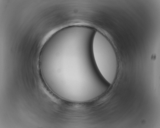 X0000113631375200909181255