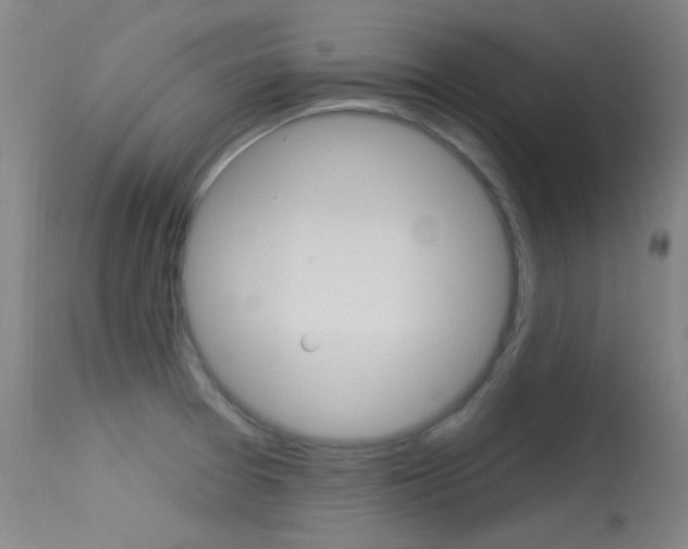 X0000113631377200909181255