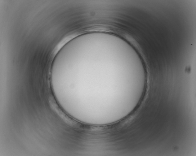 X0000113631378200909181254