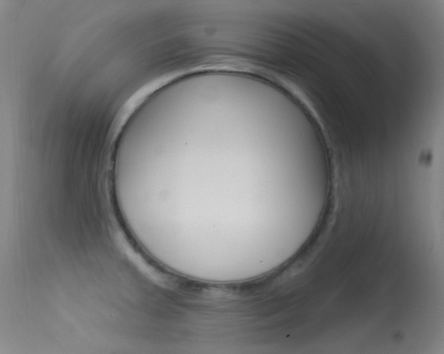 X0000113631379200909181254