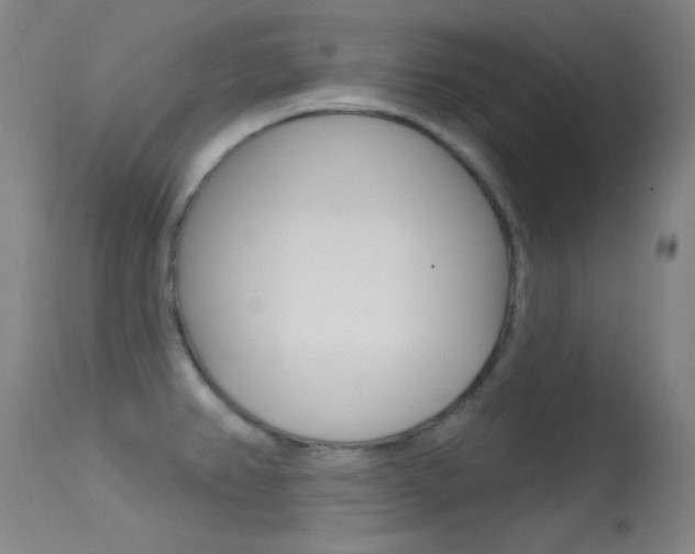 X0000113631382200909181254