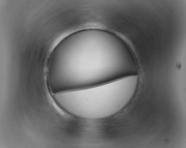 X0000113631383200909181254
