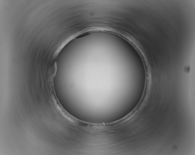 X0000113631385200909181254