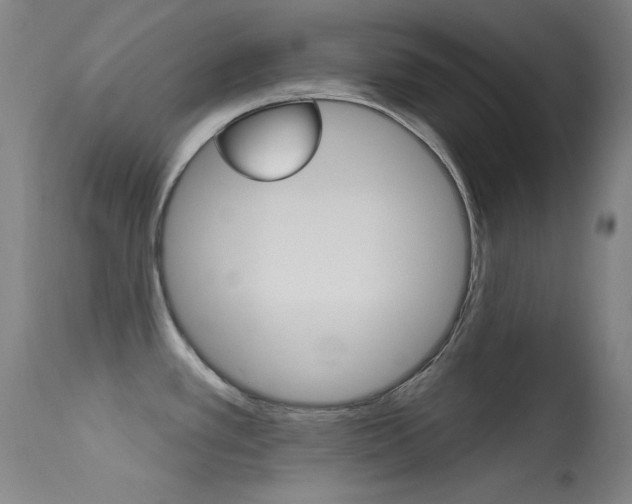 X0000113631389200909181254