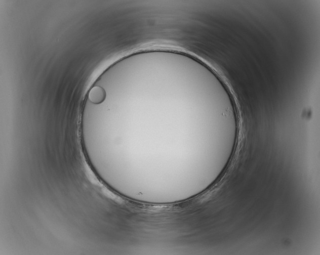 X0000113631390200909181254