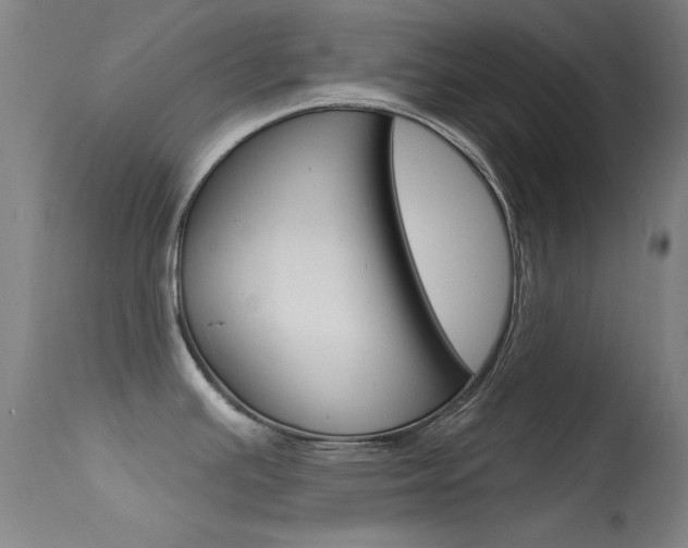 X0000113631391200909181254