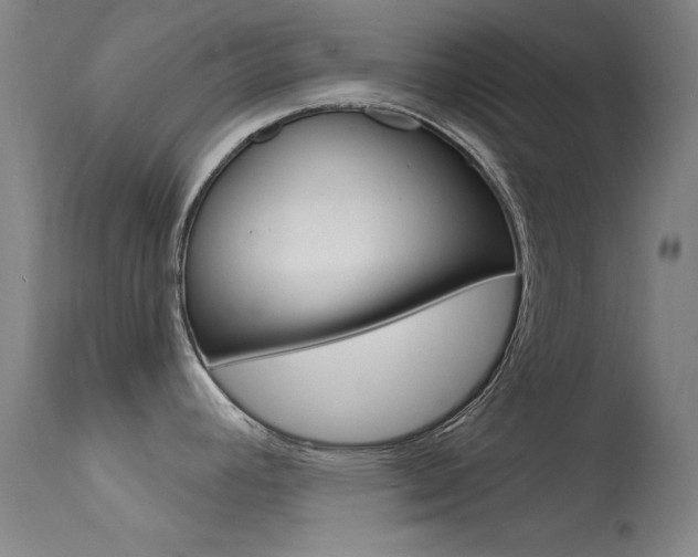 X0000113631392200909181254