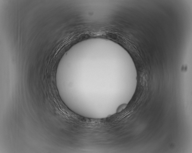 X0000113631393200909181254