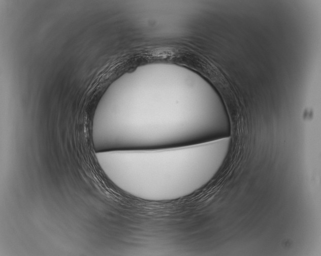 X0000113631394200909181254