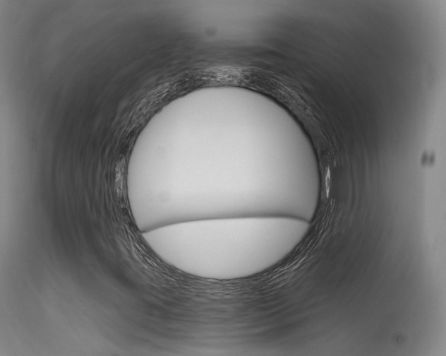 X0000113631395200909181254