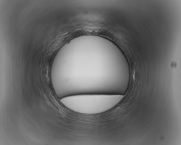X0000113631396200909181254